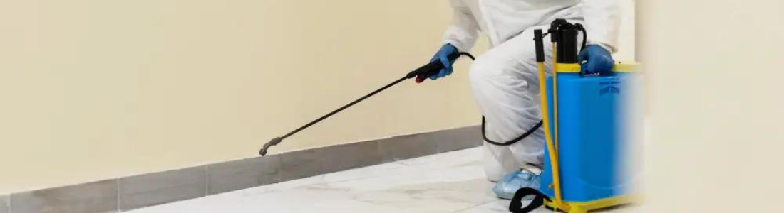 Dedetizadora especializada 24 HORAS